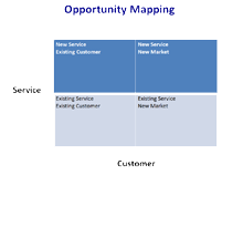 Strategic Planning Opportunity Mapping